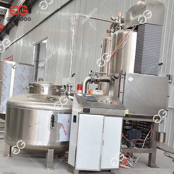 Crispy Date Vacuum Frying Machine